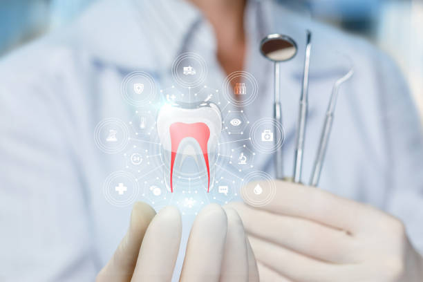  Bastrop, LA Dental Services Pros